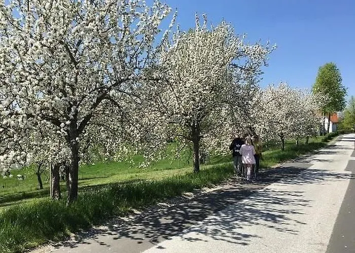 Thermen By Interhome Holiday home *